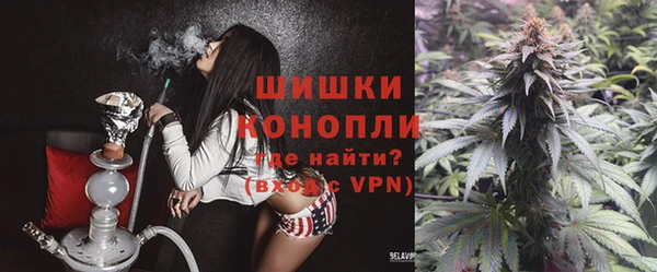тгк Осташков
