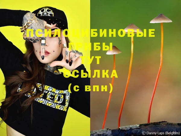 прущая мука Алексеевка